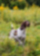 Facetune_28-08-2025-13-27-58.JPEG