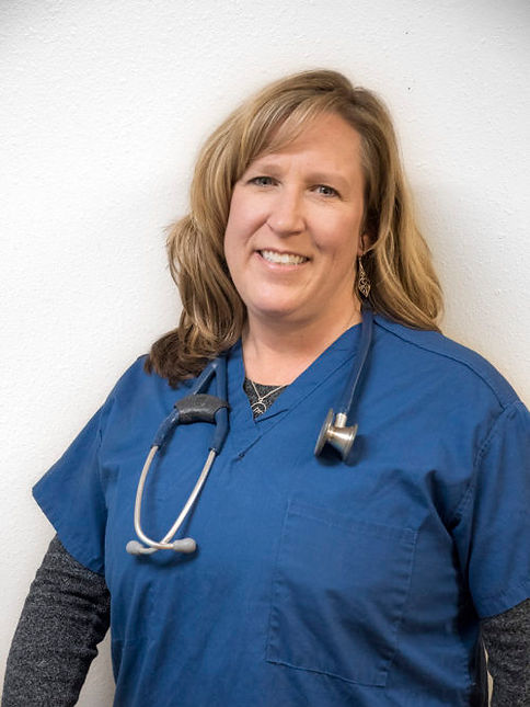 Veterinary Ultrasound, Mountain Paws Vet, Carbondale, CO.jpg