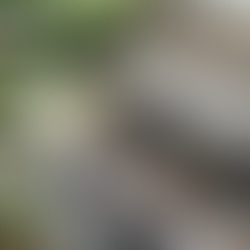 [Restaurant] Flora Danica – Paris