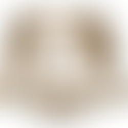 [Restaurant] Carlino - Chiasso