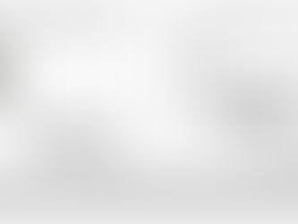 The Qualities of an Effective Leader