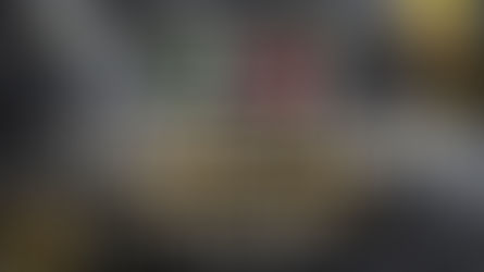 🇩🇪 SAFTMÄNNI is IPS Day1 D chip leader!