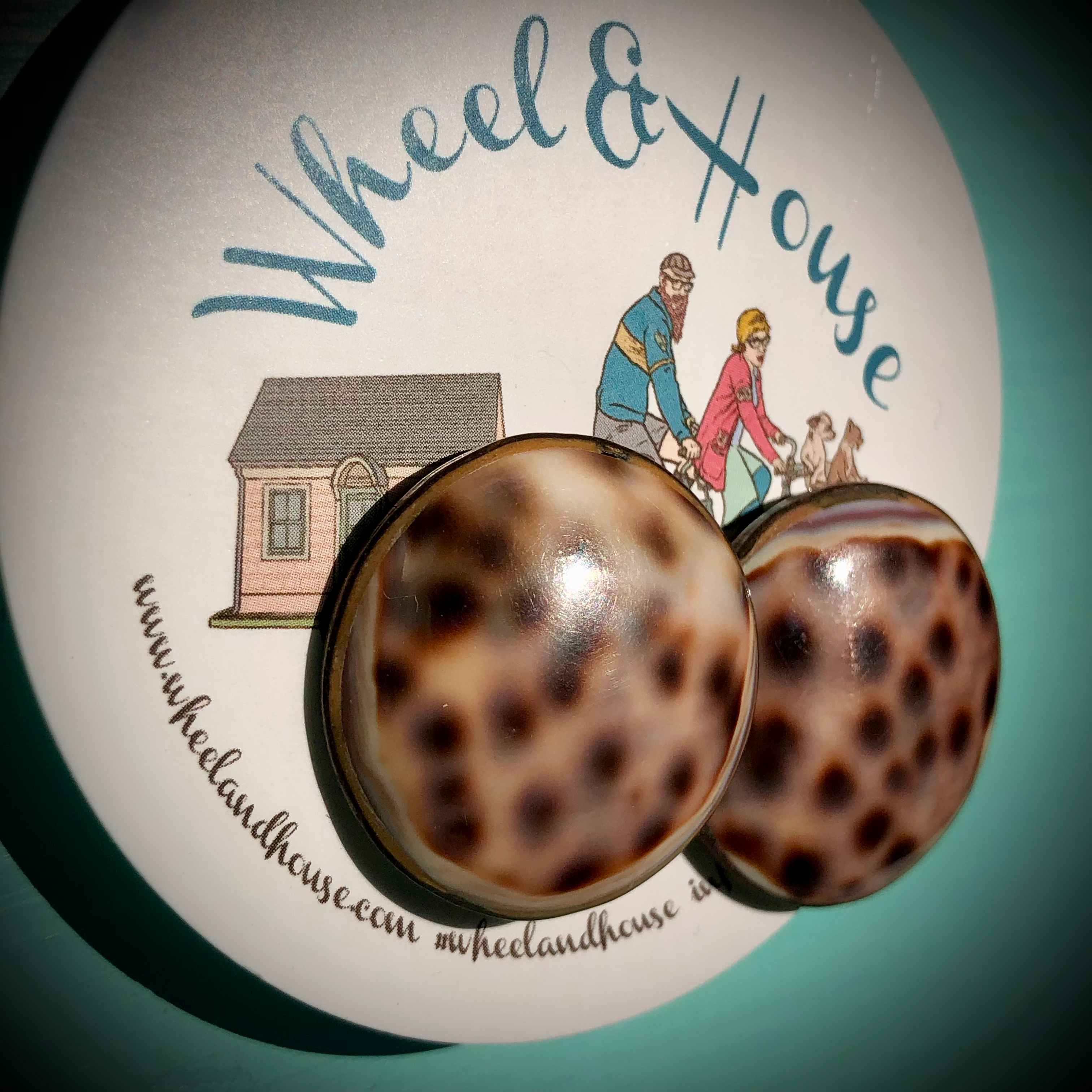 Tiger Cowrie Earrings