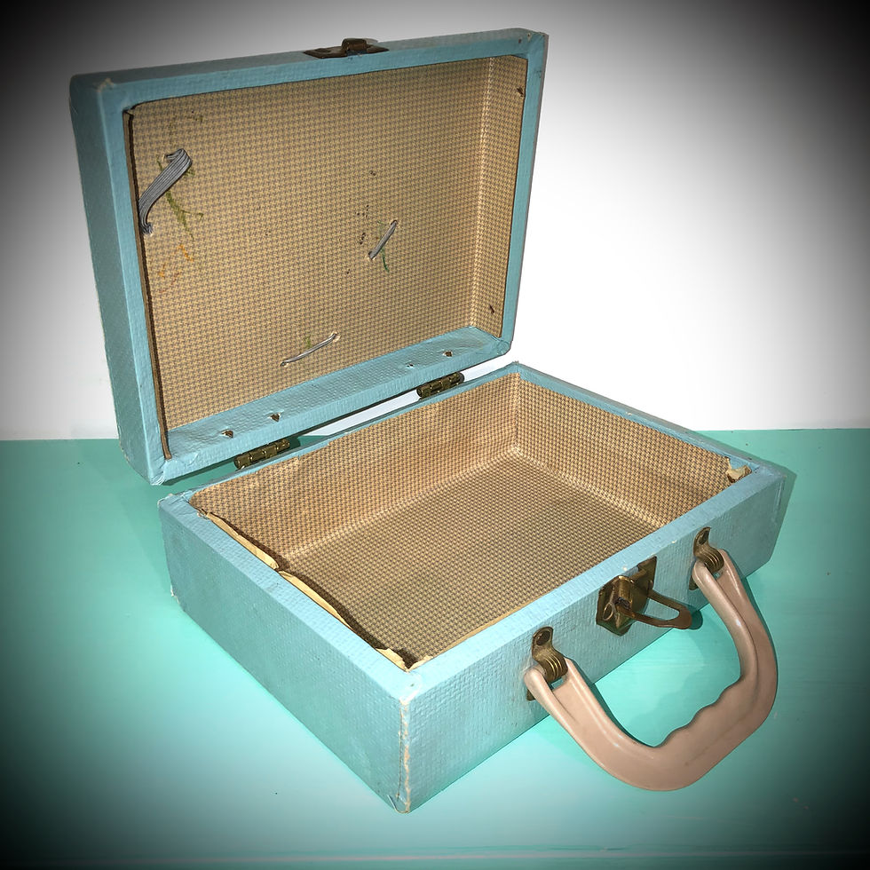 Thumbnail: Diving Ducklings Child Carry Case by Neevel, 1950's