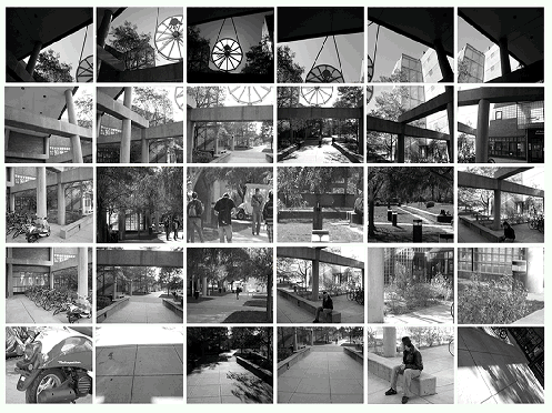 collage1 2010