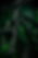 b179dd58-8886-45b3-82b1-3245417c095d.png