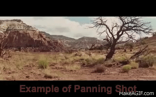 panning.gif