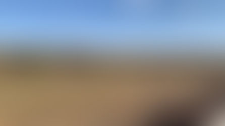 The Louisiana Brigade at Perryville