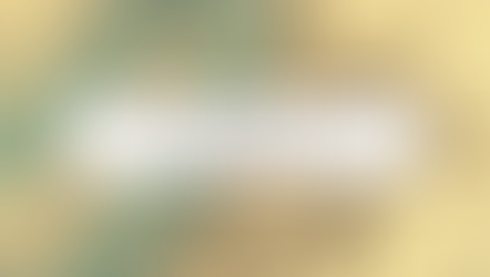 The Mississippi Prophet