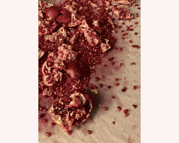 CC-website-gif-animation_new.gif