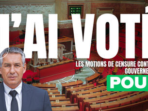 J’ai voté les motions de censure contre le gouvernement.