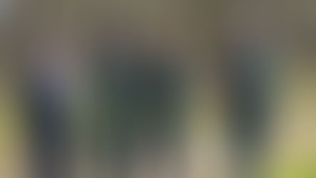 Les enjeux du réchauffement climatique sur nos forêts domaniales.