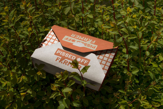 branded gift box sitting in field of greenery