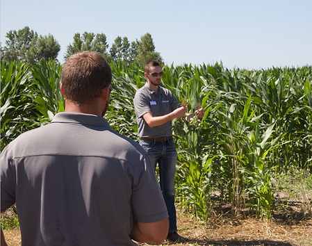 Agnition tech working in field