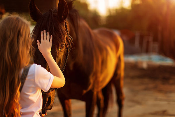 Rock Ranch horsmanship and equine assisted psychotherapy