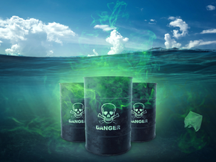 How to Navigate Our Toxic World?
