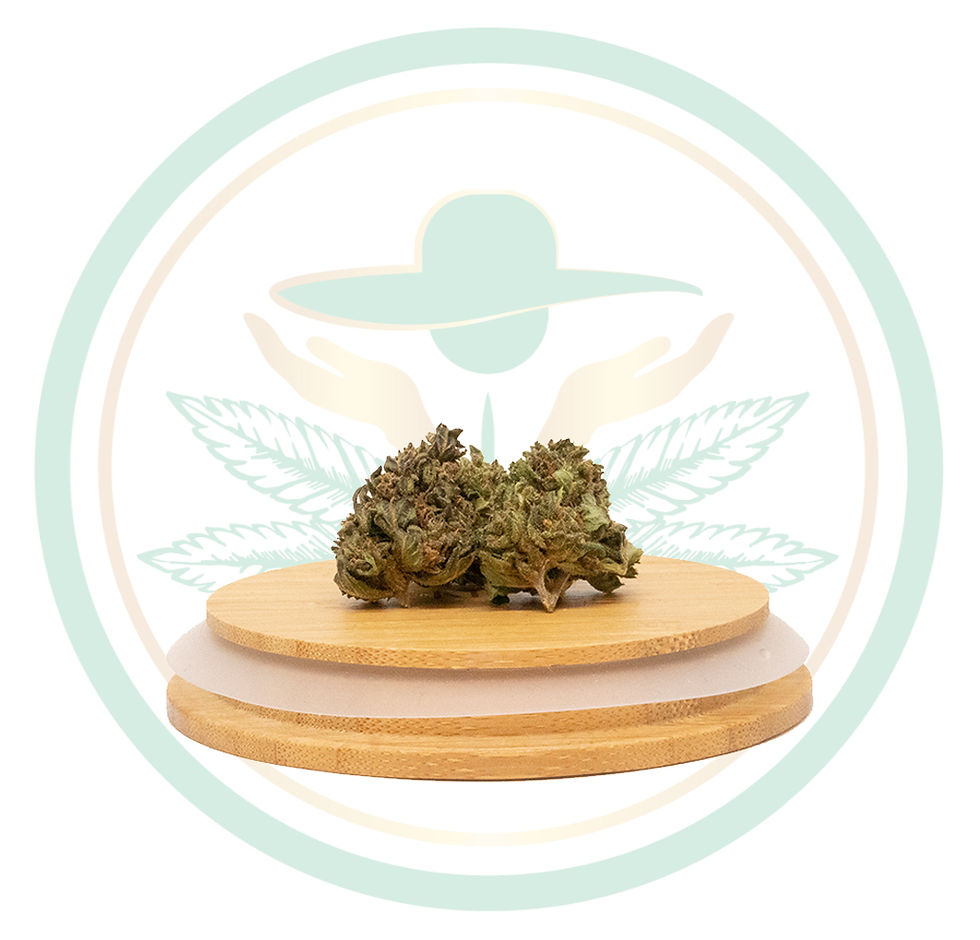 Fleurs de chanvre à actifs CBD Midi No Name