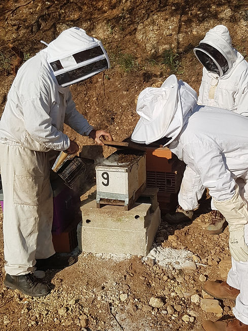 La famille Wendling en train de s'occuper des ruches de la ferme