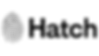 Hatch Foundation.png