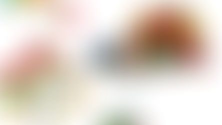 Die 5 Besten Lego duplo-Sets