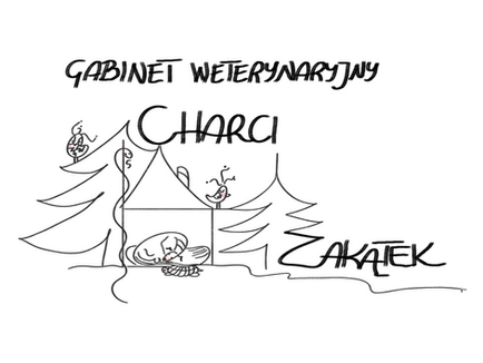 CharciZakatek_3 4.png