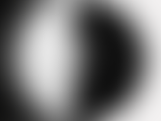 Le zèbre est-il le plus atypique des neuro-atypiques ?