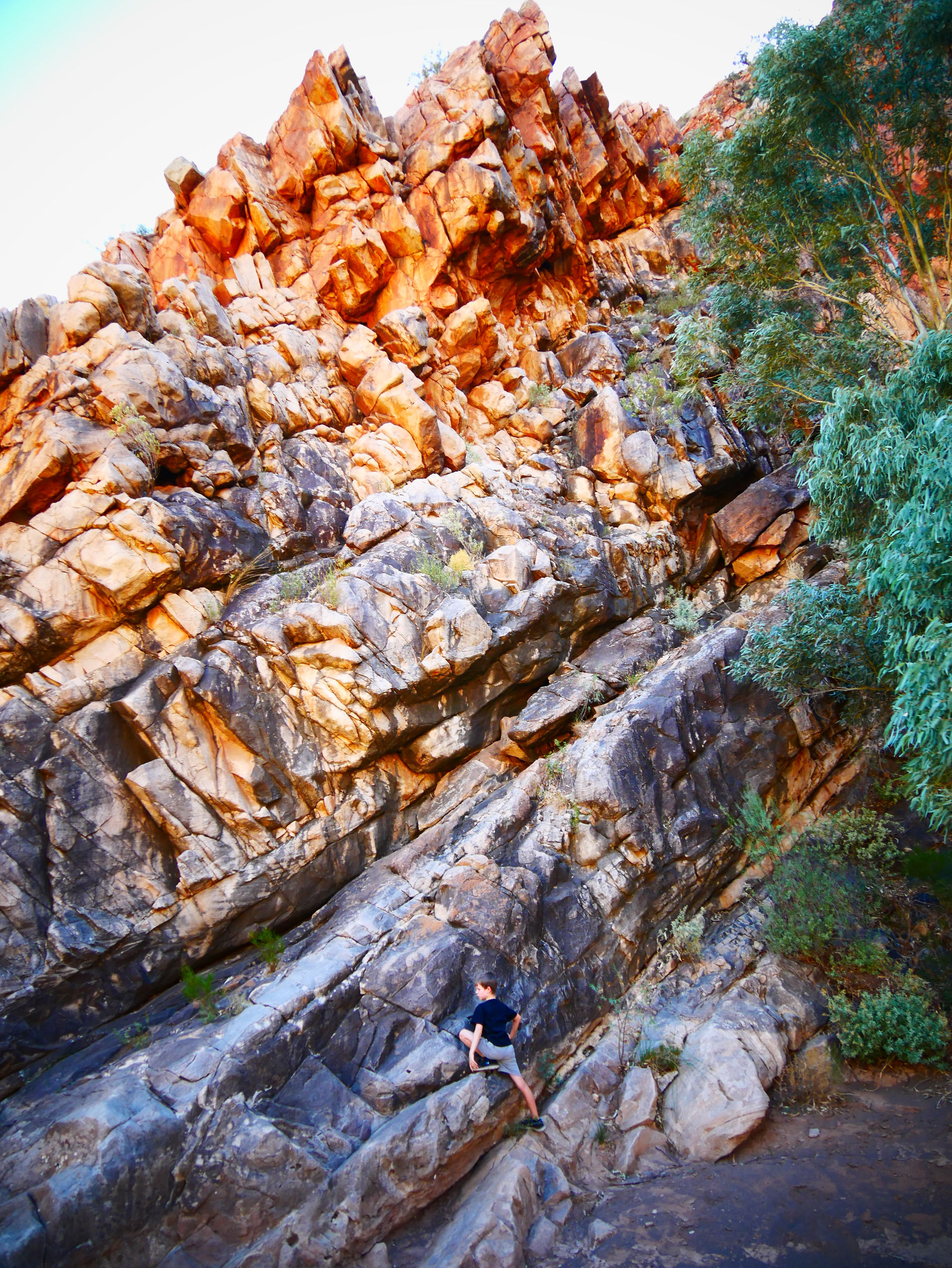 Brachina Gorge
