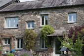 Cottage house with plants and flowers 