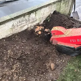stump removal in progress