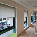 roller blinds 