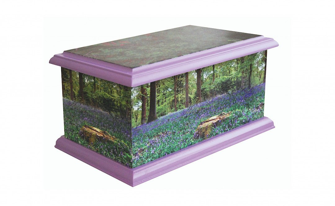 Bluebell Wood Contemporary Picture Ashes Casket