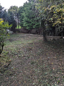 After garden waste removal