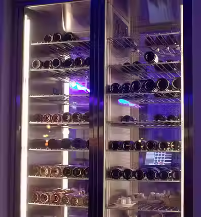 Bottle cooler with wine