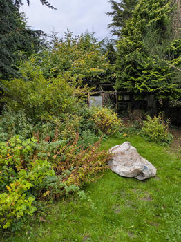 Before garden clearance