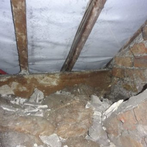 Rot in loft