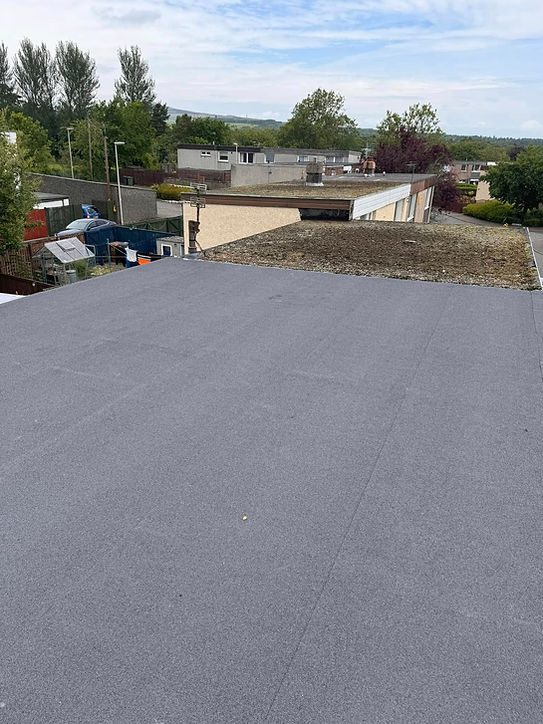 before and after moss removal on flat roof