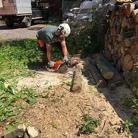 stump removal specialist at work