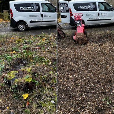 Before and after of a tree stump removal in a garden
