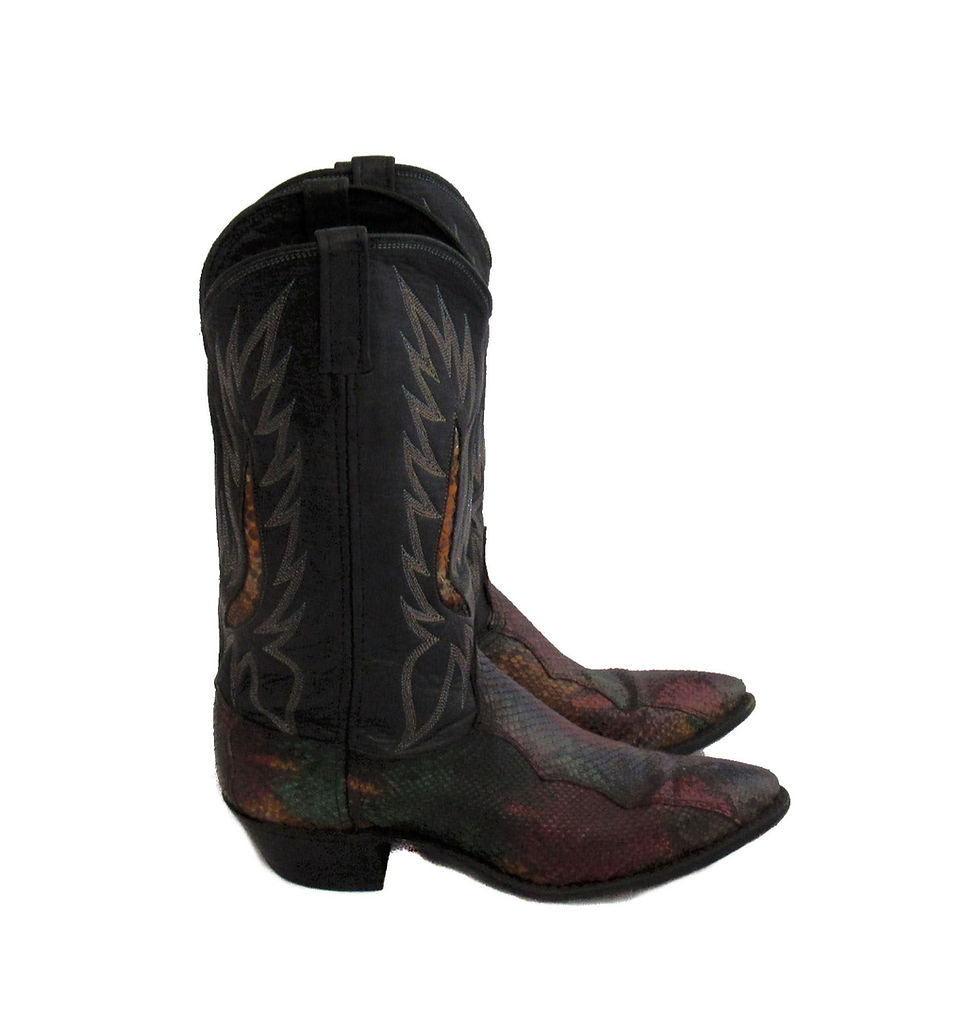 Thumbnail: Dan Post Multi-Color | Snake Skin Cowboy Boots