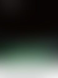 「関心領域」3月21日(土)上映！