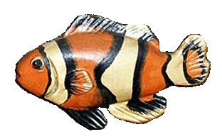 Marine Fish 28 28種類の海水魚