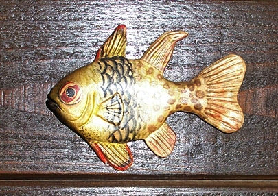 marine fish