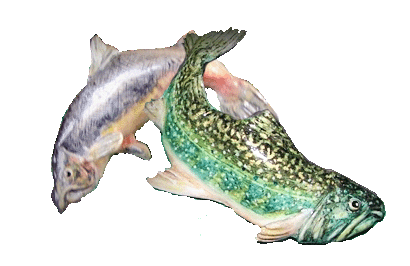 流木と淡水魚のオブジェ 1