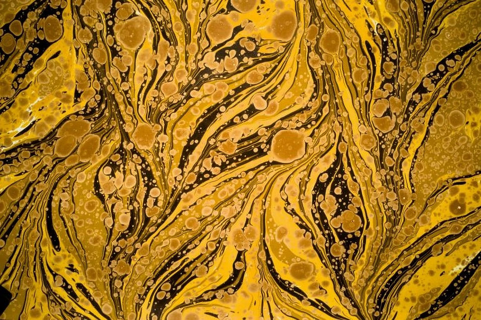 Marmurki (2)_edited.jpg