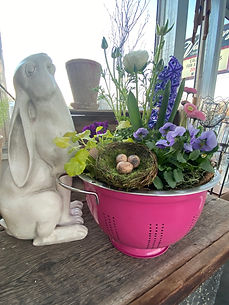 Spring Container.jpg