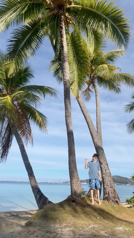 Child standing beneath tall palm trees beside the beach at Plantation Island Resort