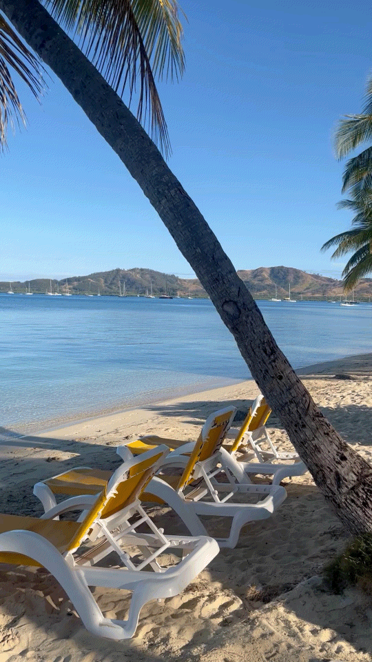 Palm tree, beach loungers and calm ocean water at Plantation Island Resort in Fiji.