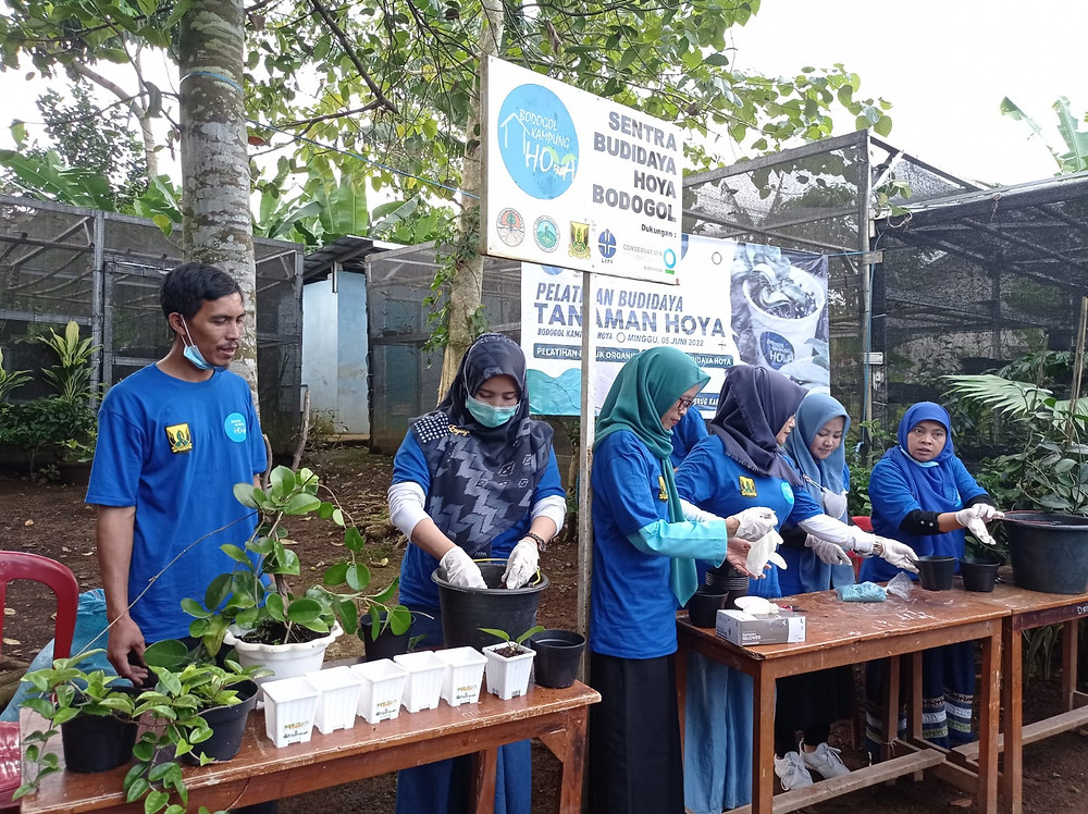 outbound bogor