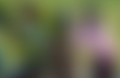 Desa Wisata Series : Opsi Baru Lokasi Gathering Perusahaan