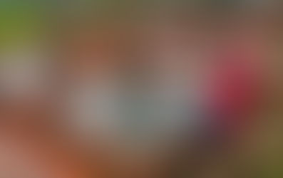 Pelatihan Persiapan Masa Pensiun Dengan Experiential Learning